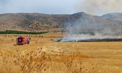Anız Yangınında 40 Dönüm Alan Zarar Gördü