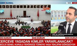 Babacan, 5 Ayrı Canlı Yayında 'Çerçeve Yasa'yı Anlattı