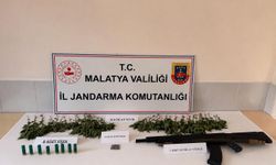 Doğanşehir'de Uyuşturucu Operasyonu: 1 Tutuklama