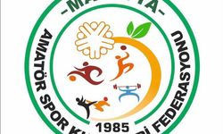 Malatya ASKF'den TFF'ye tepki: 'Amatör Liglerin Başlamama Riski Var'
