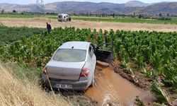 Otomobil tütün tarlasına devrildi: 3 yaralı