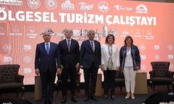 Elazığ, Malatya, Adıyaman, Bingöl ve Tunceli'nin Turizm Potansiyeli Ortak Vizyonla Geliştirilecek