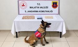 Malatya'da 1 Kilo Metamfetamin Ele Geçirildi
