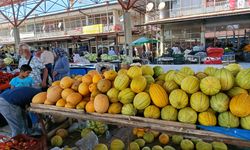 Yazın Tezgahta, Kışın Sofrada
