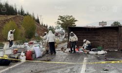 Malatya'da Arı Yüklü Kamyon Devrildi: 3 Yaralı