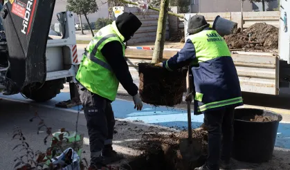 Sakarya'da yeşil’ dokunuşla şehrin çehresini değiştiriyor