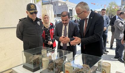 Ardahan'da "Dünya Arı Günü" etkinliği düzenlendi