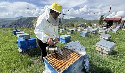 Arıcılık yapan kadın muhtar, kovan sayısını 11 yılda altıya katladı