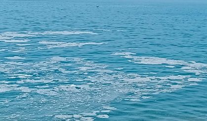 Yalova'nın Armutlu kıyılarında müsilaj görüldü