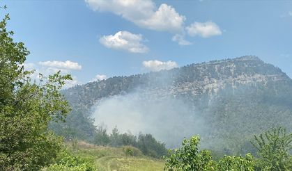 Bilecik'te çıkan orman yangını söndürüldü