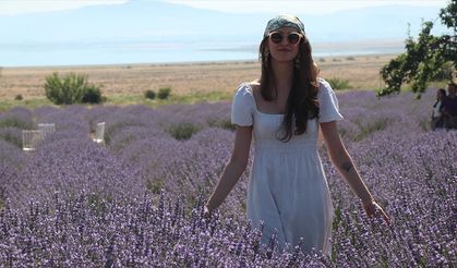 Burdur'da Lavanta Hasat ve Sanat Günleri'nde "mor bahçelerde" hasat başladı