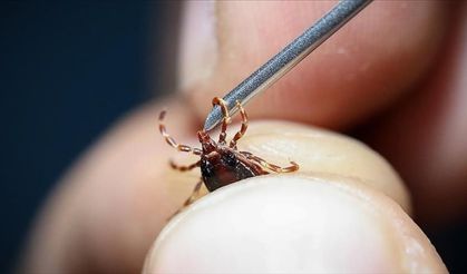 Çorum'da KKKA hastalığı şüphesiyle tedavi gören kişi hayatını kaybetti