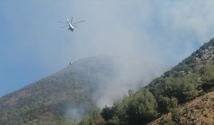 Kahramanmaraş'ın Türkoğlu ilçesindeki orman yangını kontrol altına alındı