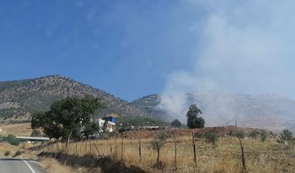 Kahramanmaraş'ta çıkan orman yangınına müdahale ediliyor