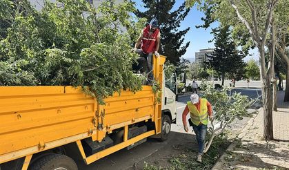 Kahramanmaraş'ta fırtına hayatı olumsuz etkiledi