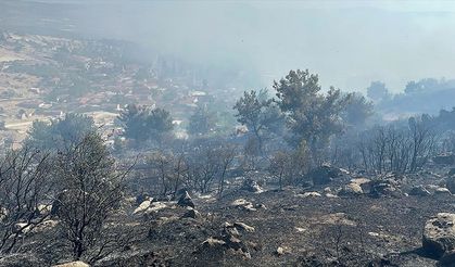Manisa'nın Kırkağaç ilçesindeki orman yangını kontrol altına alındı
