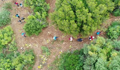 Tarihi ve doğal güzellikleri barındıran "Anemon Yolu" doğaseverler için hazır