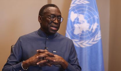 BM Sahel Kalkınma Koordinatörü Dieye'e göre, kalkınma olmadan terörle mücadele mümkün değil