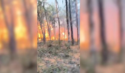 Eskişehir'deki yangında alevler arasında kalan ormancıların görüntüleri ortaya çıktı