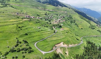 Gümüşhane'deki "Taşköprü Yaylası" doğaseverlerin uğrak noktası oldu