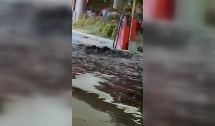 Kuşadası'nda kanalizasyon hattı taşınca cadde pis suyla doldu