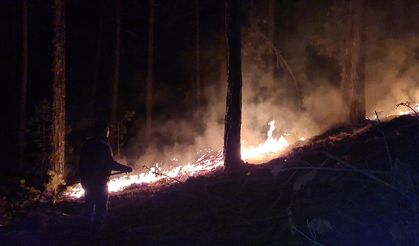 Kütahya'da çıkan orman yangını, köylüler ve orman personeli işbirliğiyle büyümeden söndürüldü