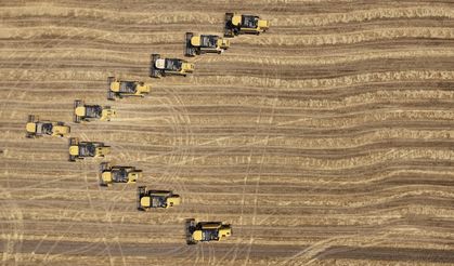 Malya Tarım İşletmesi'nde sertifikalı tohum hasadı sürüyor