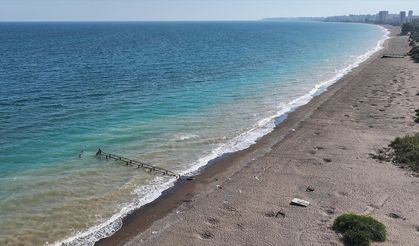 Mersin'de anaç kaplumbağaların kumsala çıkışlarında artış gözlendi