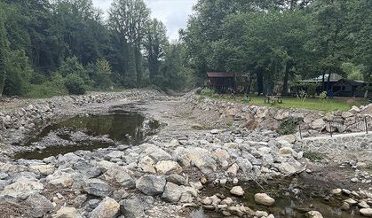 Sakarya'nın gözde mekanlarından Maden Deresi'ndeki şelale kurudu