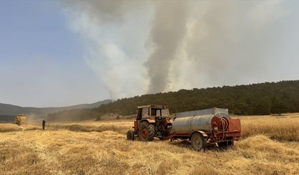 Sarıcaova köylüleri, tarladaki ürünlerinin hasadını imece usulü yapıyor