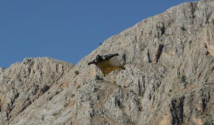 Türkiye'nin "yarasa adamı" Cengiz Koçak başarısını disiplinle sürdürüyor