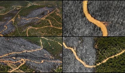 Uşak'ta orman yangınından etkilenen alanlar havadan görüntülendi