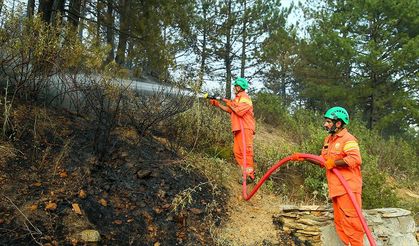 Yeşil Vatan'ın "turuncu gönüllüler"i orman yangınlarıyla mücadeleye destek veriyor