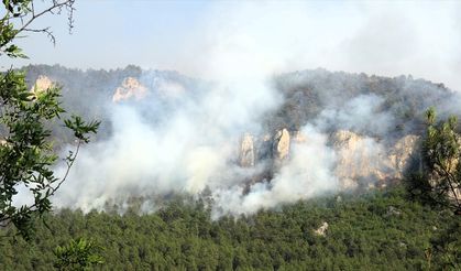 Yurdun çeşitli bölgelerindeki orman yangınlarına müdahaleler sürüyor