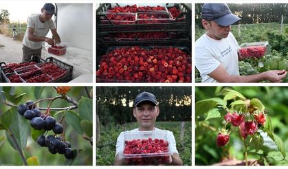 Atıl araziyi meyve bahçesine dönüştürerek üretici oldu