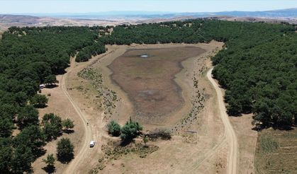 Bilecik'teki doğal gölet kuruma tehdidiyle karşı karşıya kaldı