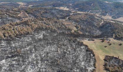Çanakkale'de yangında zarar gören alanlar dronla görüntülendi