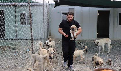 Erzincan'da atık gıdalar yeni kurulan tesiste hayvanlar için mamaya dönüştürülüyor