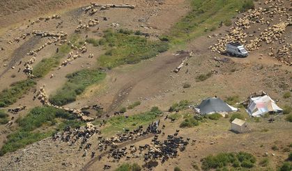 Geçim kaynağı hayvanları için tüm zorlukları göze alıyorlar