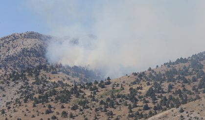 GÜNCELLEME - Kahramanmaraş’ta çıkan orman yangınına müdahale sürüyor