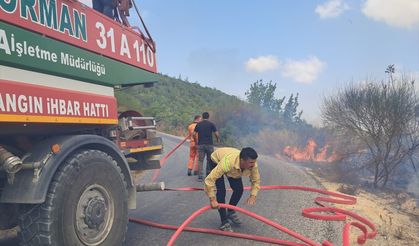 Hatay Yayladağı'nda çıkan orman yangını kontrol altına alındı