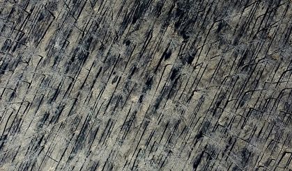 İspanya'da devam eden orman yangınlarında 407 bin hektardan fazla alan kül oldu