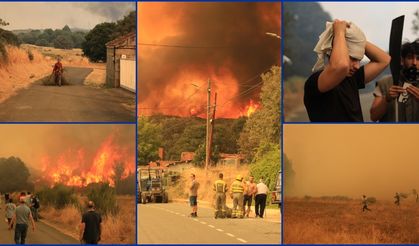 İspanya'da orman yangınları 50'den fazla yerde devam ediyor