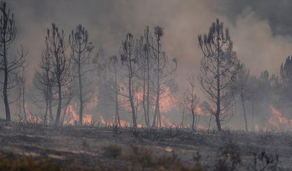 İspanya'daki yangın söndürme çalışmalarında hayatını kaybedenlerin sayısı 4'e çıktı
