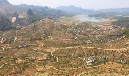 Isparta'da 4 yıl önce yanan ormanlık alanlar yeniden yeşeriyor