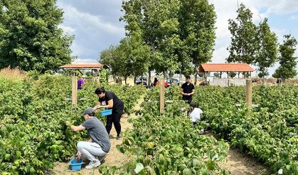 Kurduğu meyve bahçesiyle hem kendi hem mahalleli iş sahibi oldu