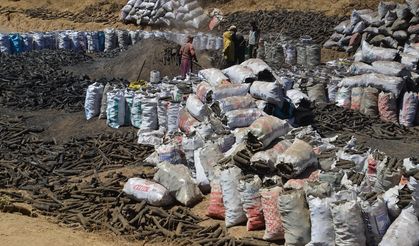 Mangal kömürü üreticileri hem havanın hem de ateşin sıcaklığıyla mücadele ediyor