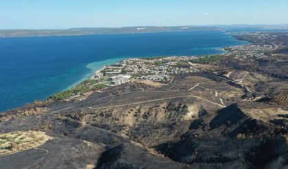 Orman yangınları deniz ekosistemini de tehdit ediyor