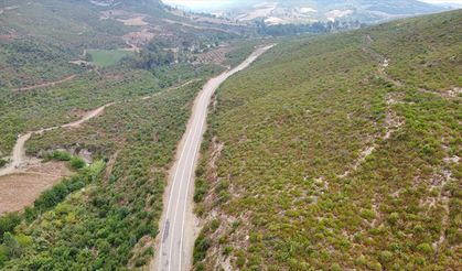 Osmaniye'de 4 yıl önce yanan alanlar, dikilen fidanlarla yeniden yeşerdi