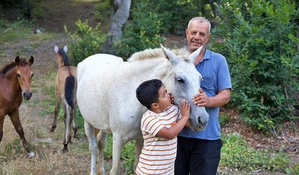 Osmaniyeli yetiştirici, yarışlara hazırladığı atları kas gelişimi için 6 ay yaylada bırakıyor
